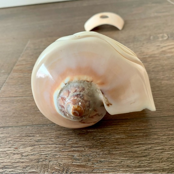 Vintage Large Hand Carving Figurine Shell 6 Inch - Picture 3 of 10